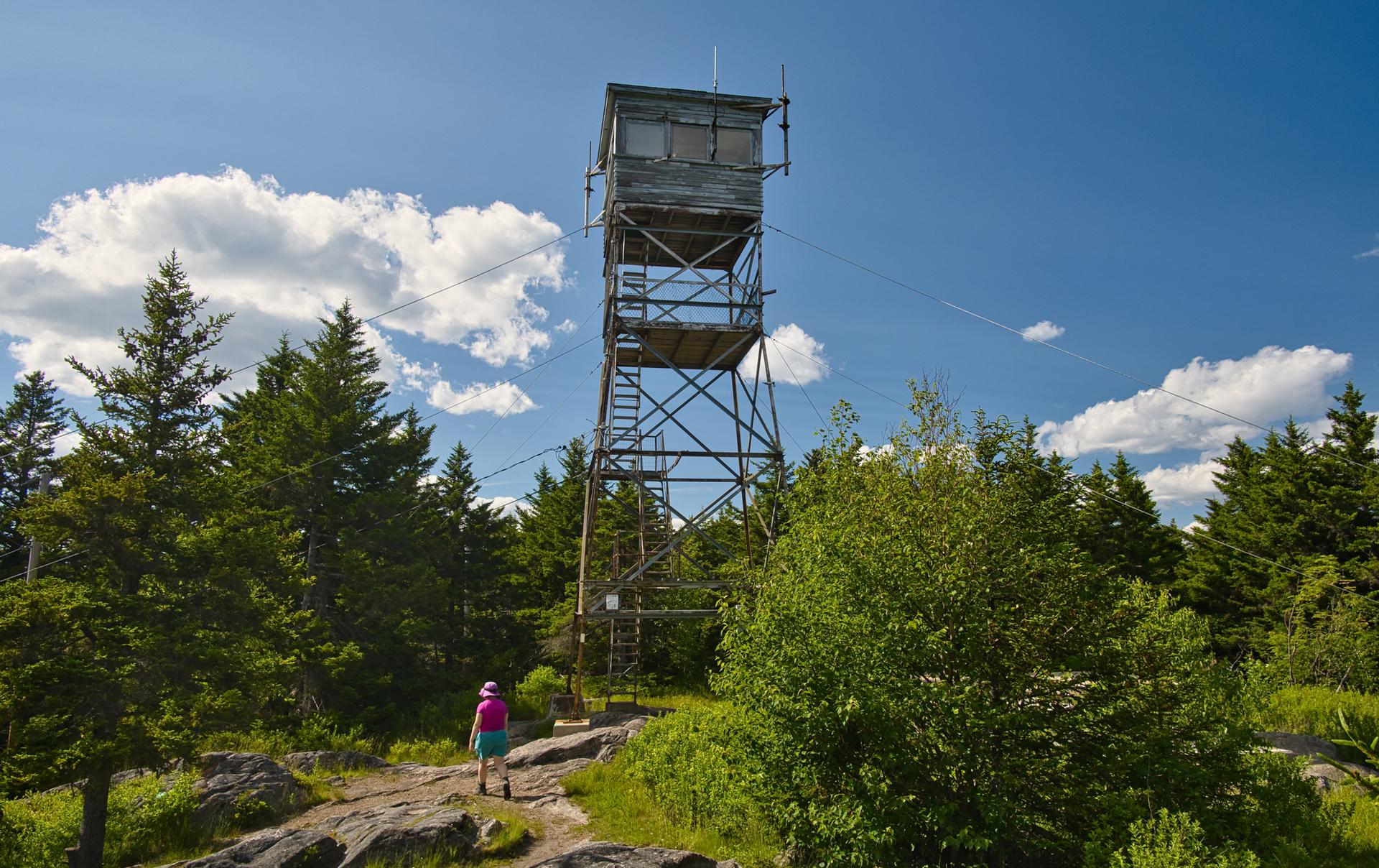 A person walks towards a tall fire tower surrounded by trees under a blue sky.