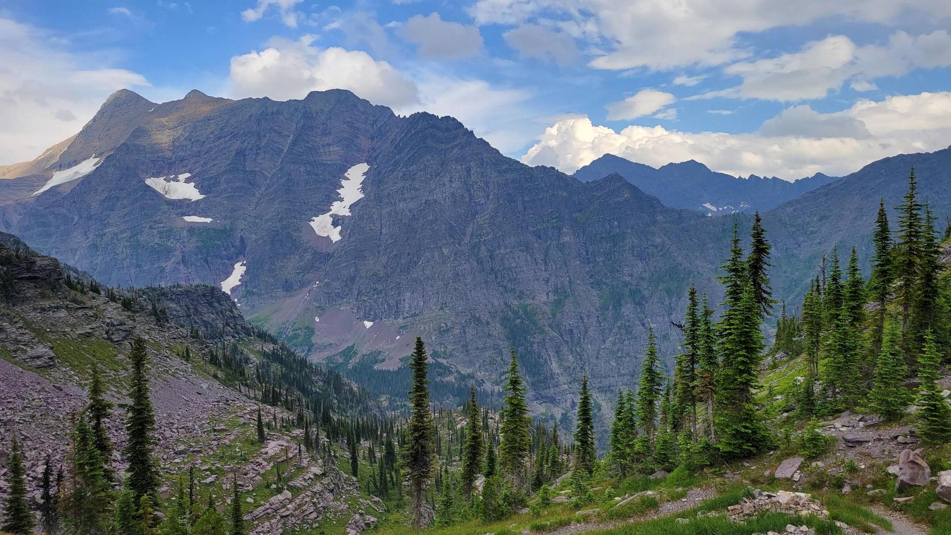 Majestic mountains with snow patches overlook a green forest under a cloudy sky.
