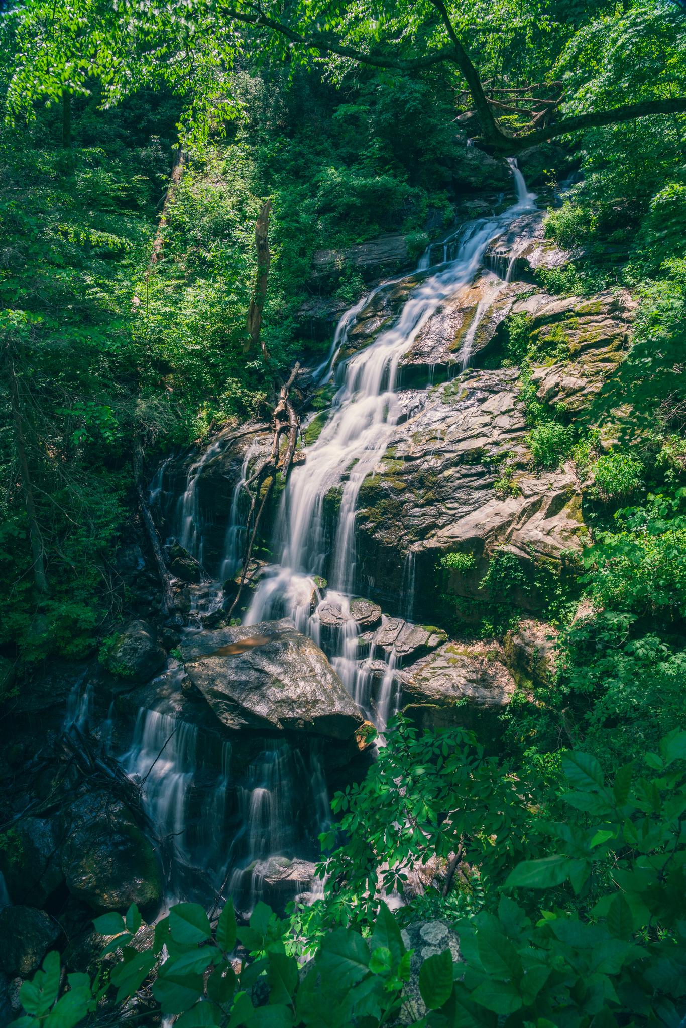 A beautiful waterfall cascades down rocky steps in a lush green forest.