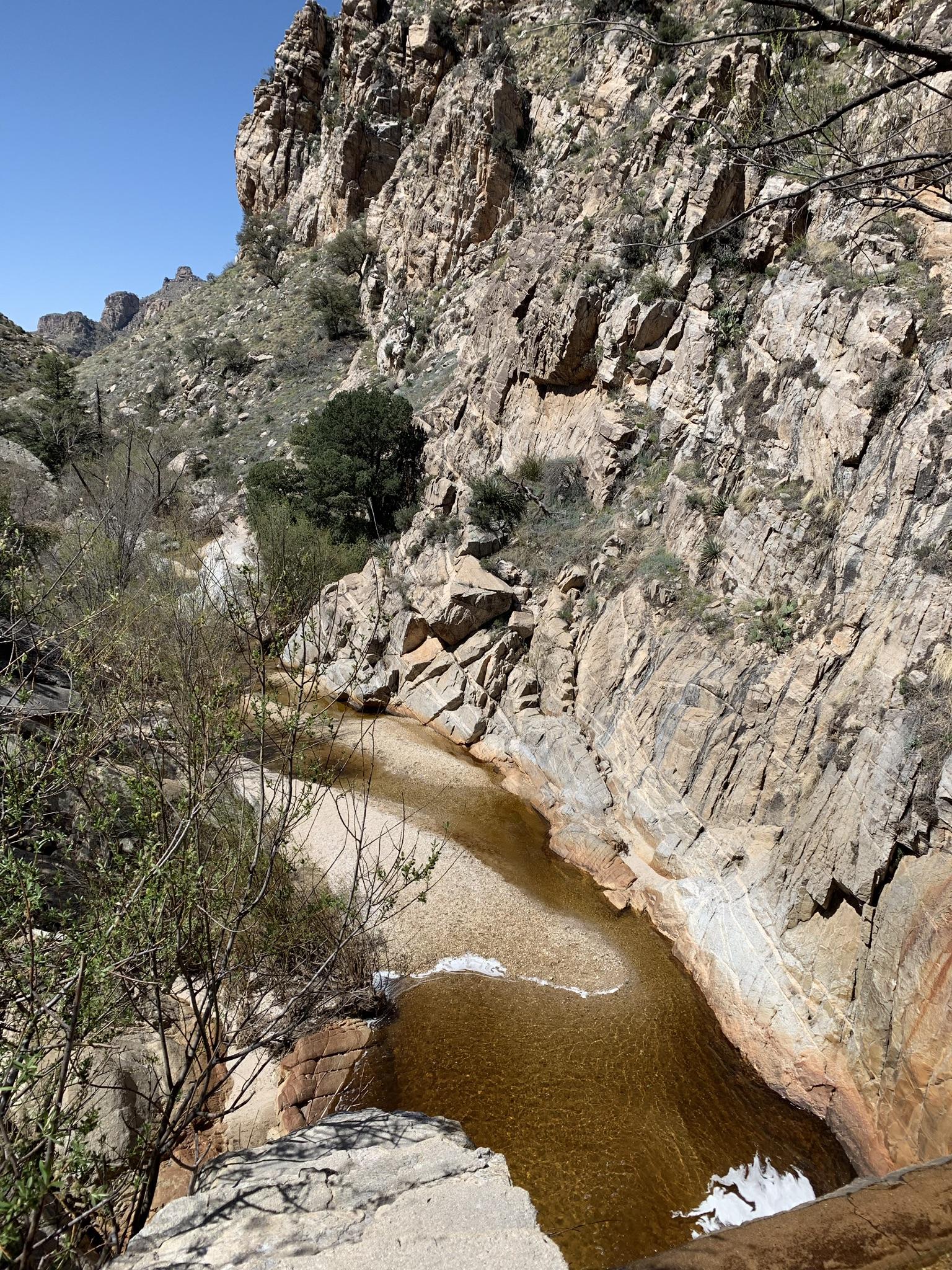 A narrow canyon with a flowing stream and steep rocky walls in bright sunlight.