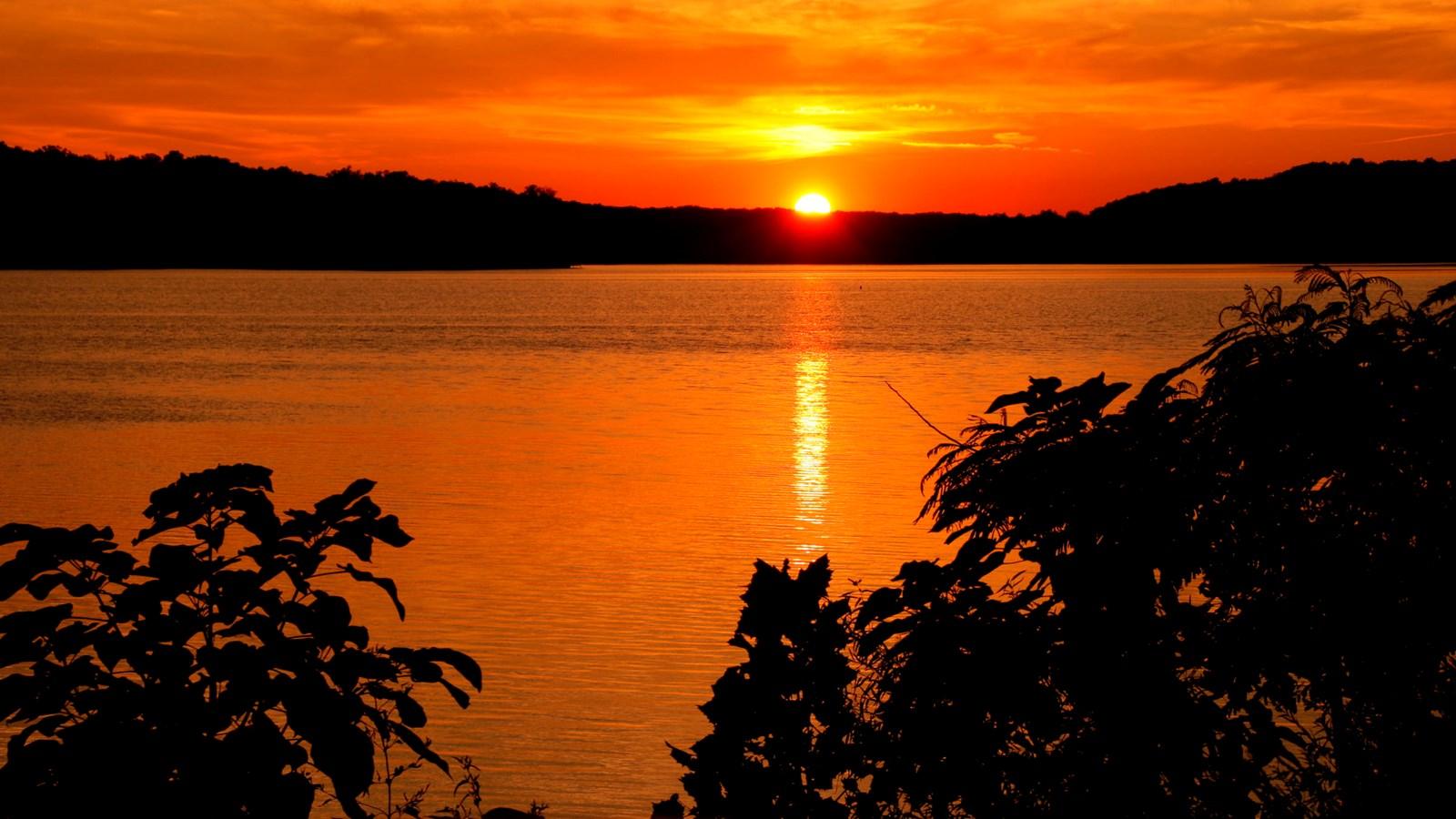 A vibrant orange sunset over water with silhouetted hills and foreground plants.