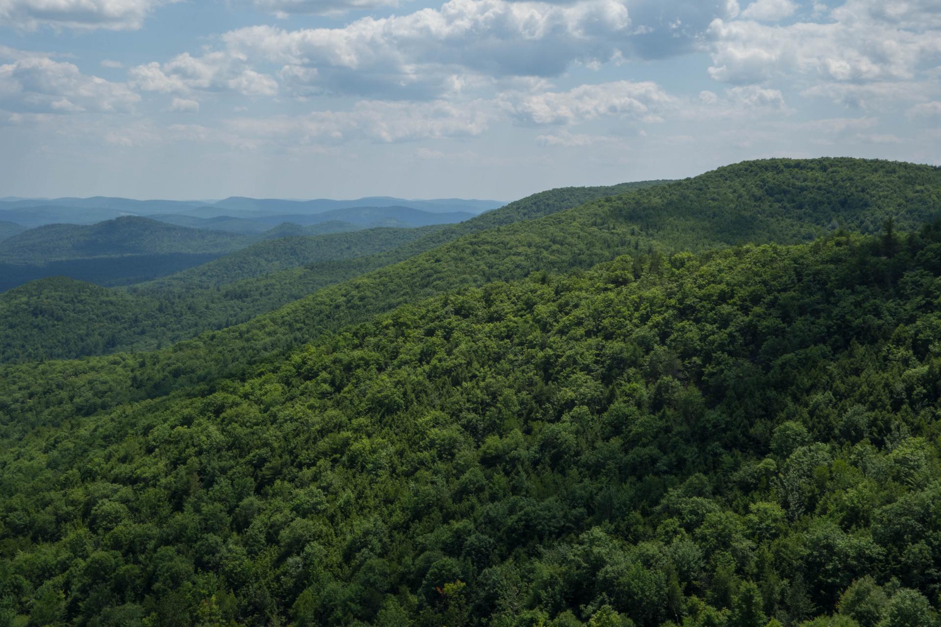 Vast green forested mountains under a partly cloudy sky.