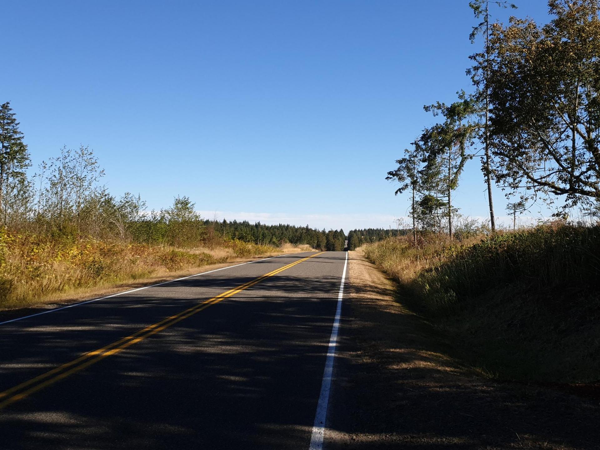 An empty, sunlit road stretches through dry grassy fields and distant trees.