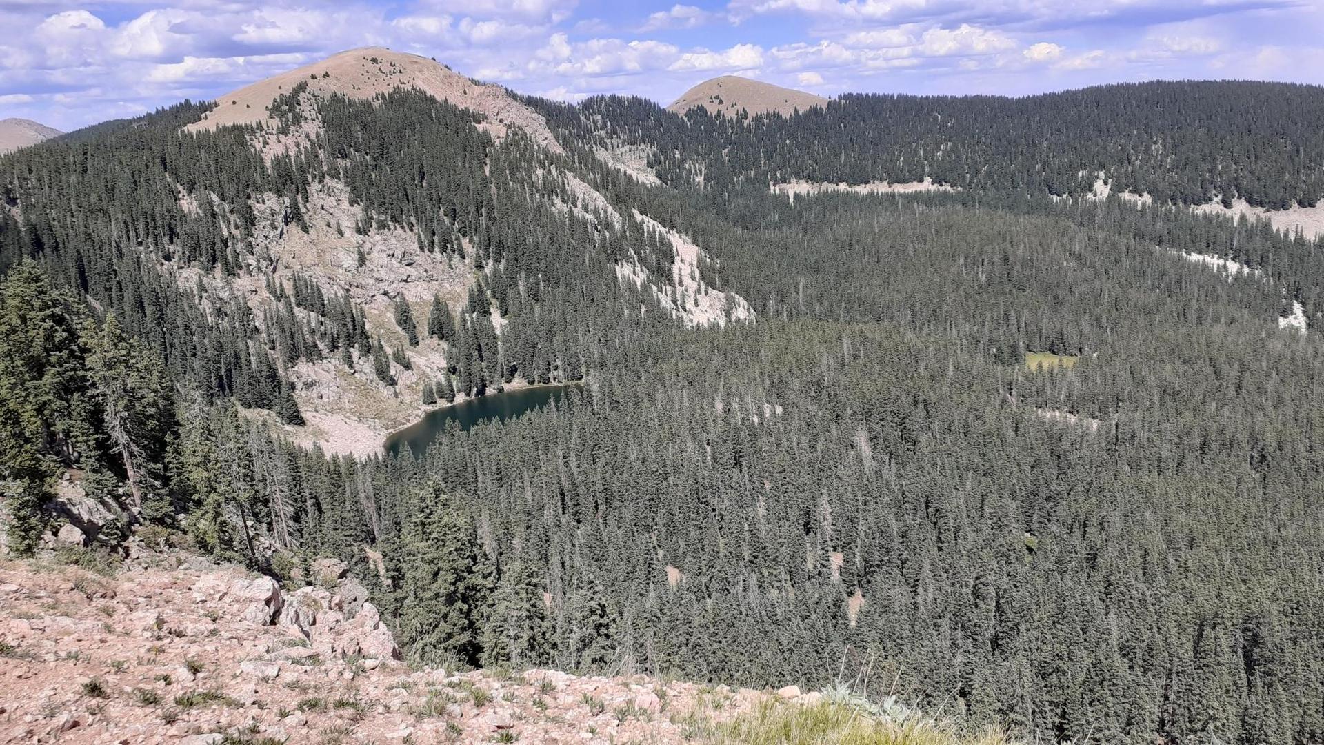 Aerial view of dense green forests covering rolling mountains and a lake.
