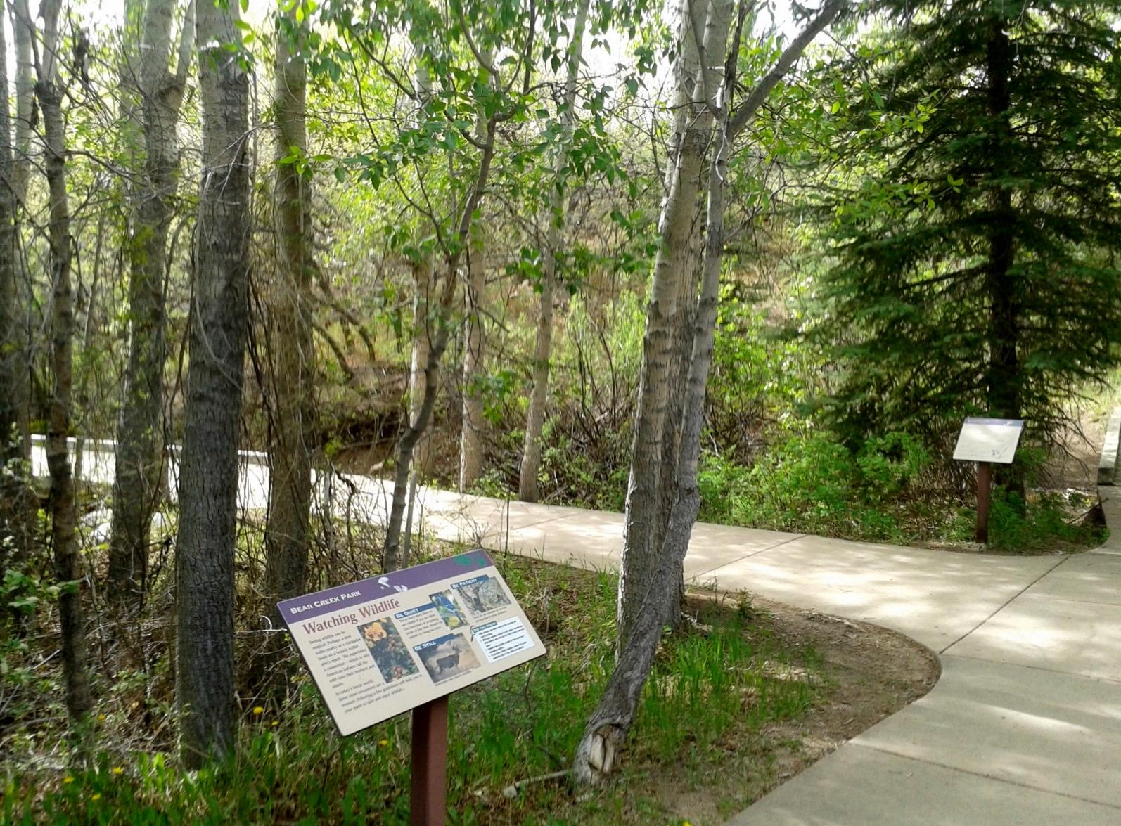 Paved path winds through a bright, green forest with an interpretive sign.