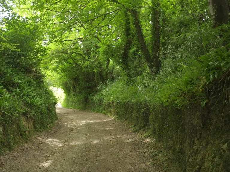 Plush et la boucle de la campagne du Dorset de Piddletrenthide — Dorset ...
