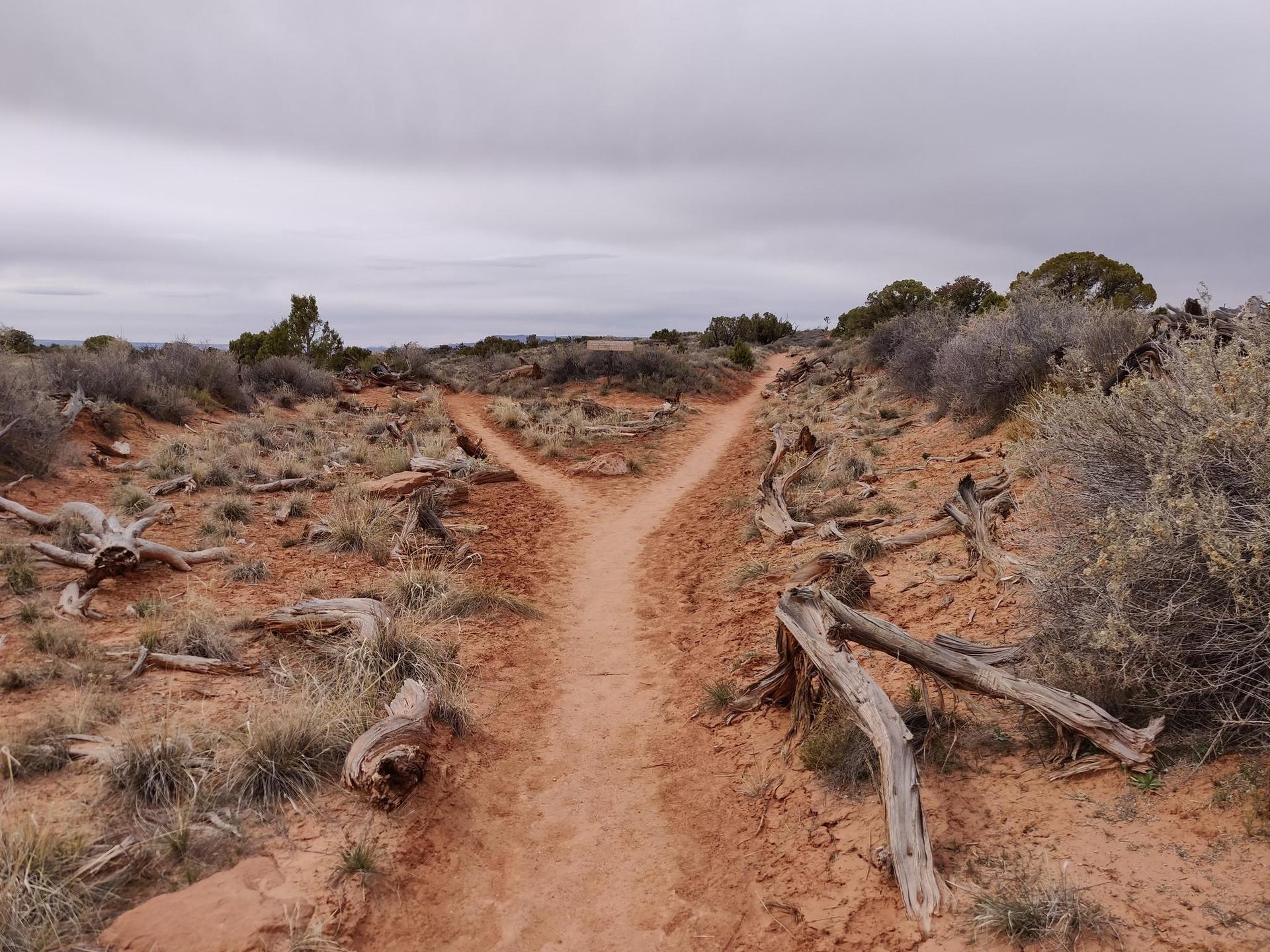 A dirt trail forks in a dry, brushy desert landscape under a cloudy sky.