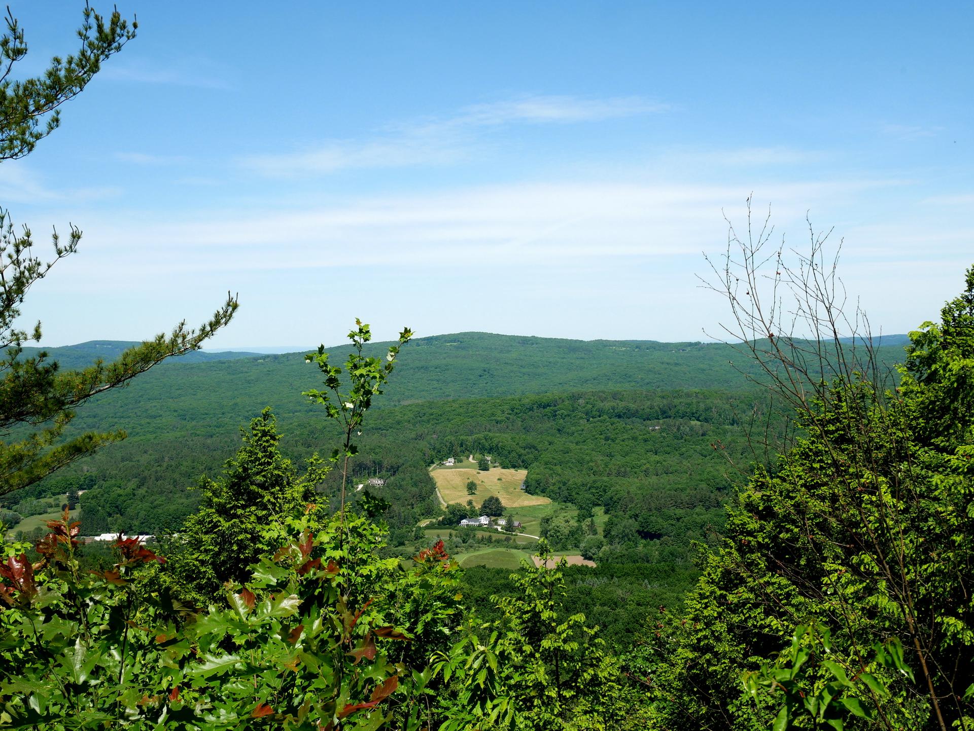 Expansive green forested valley under a clear blue sky, with distant clearings.