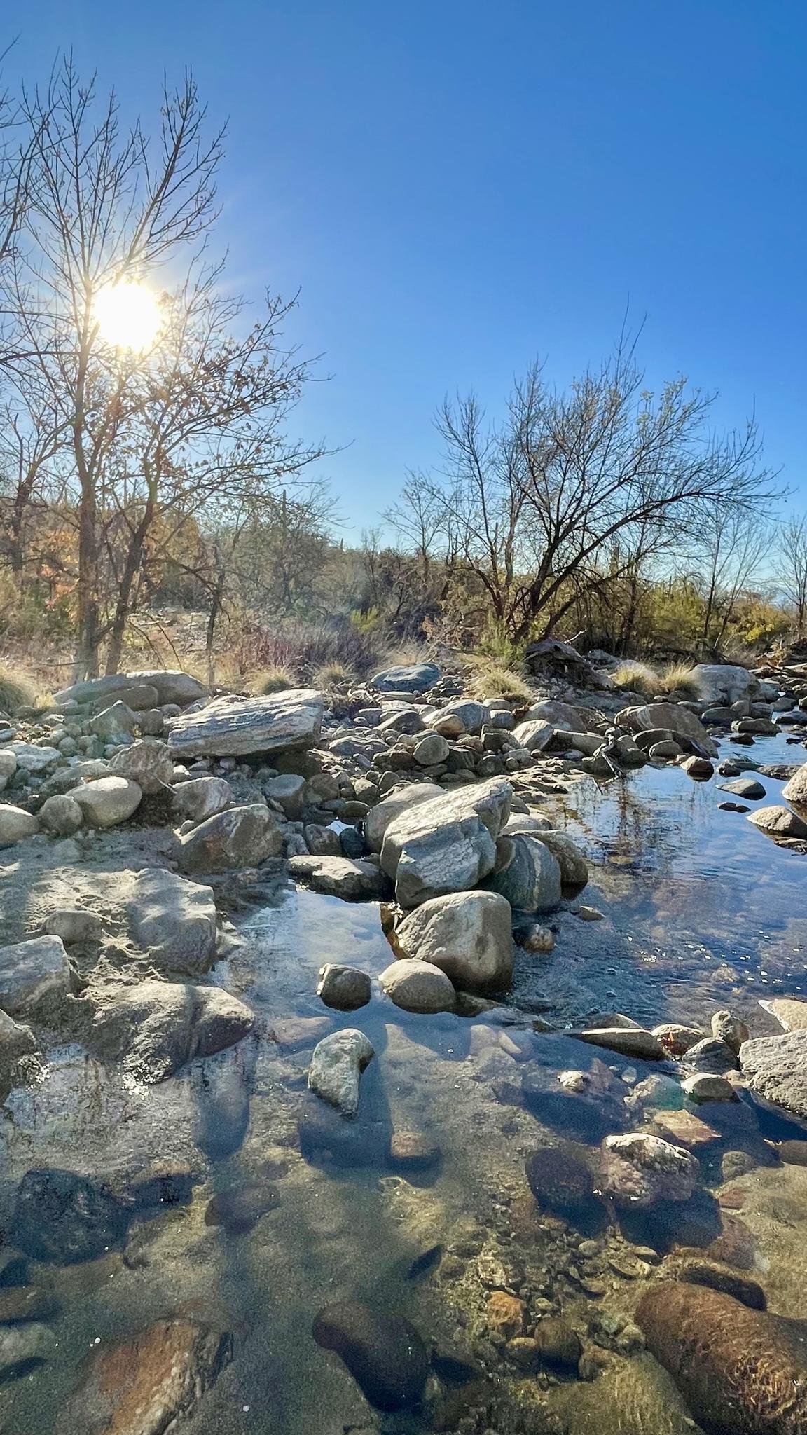 Bright sun shines over a rocky stream bed with bare trees.