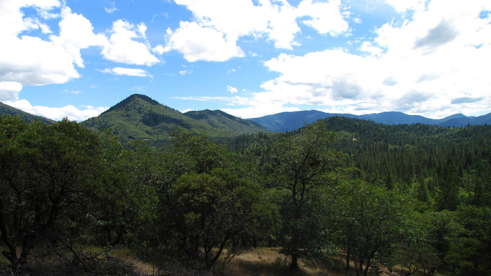 Lush green mountains and forest under a bright, cloudy sky.