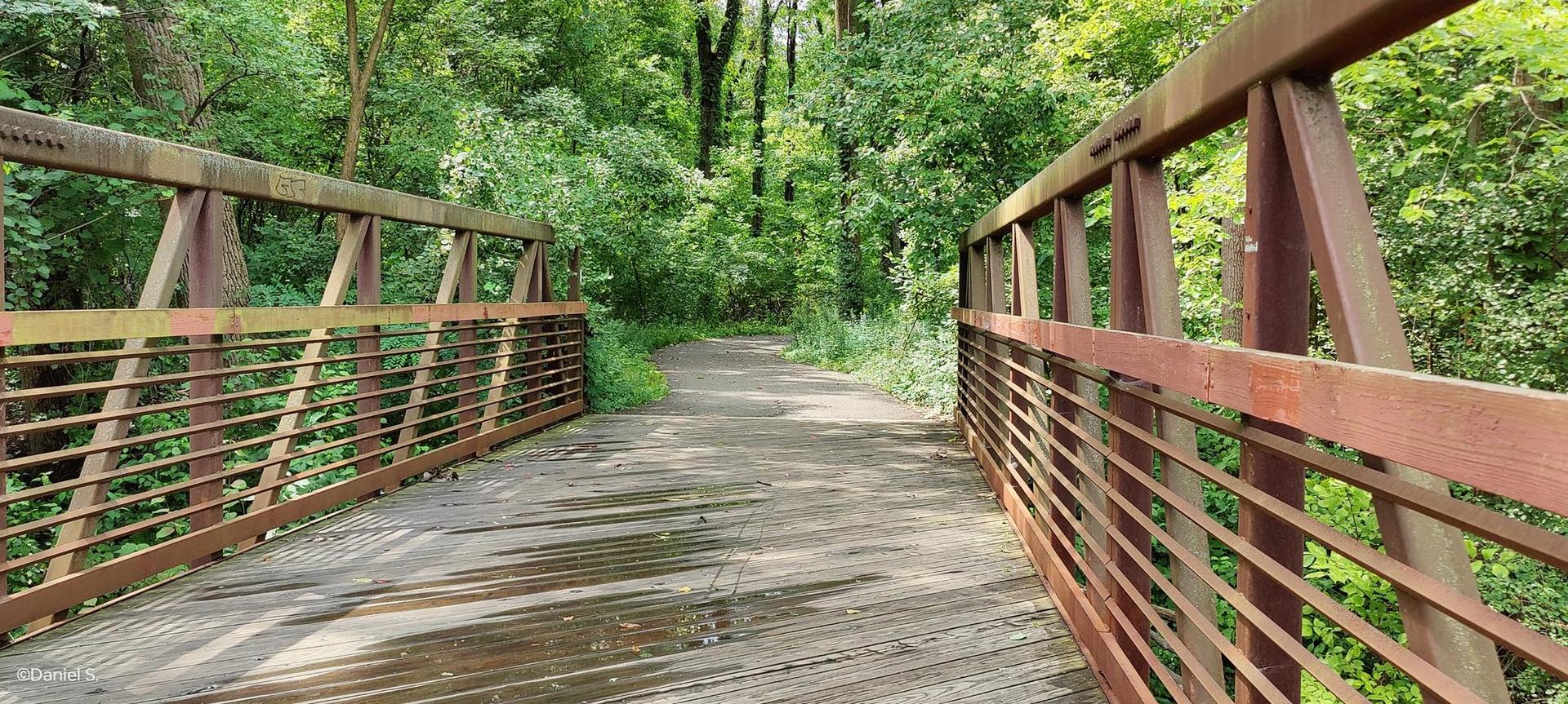 A wooden bridge with metal railings leads into a lush green forest.