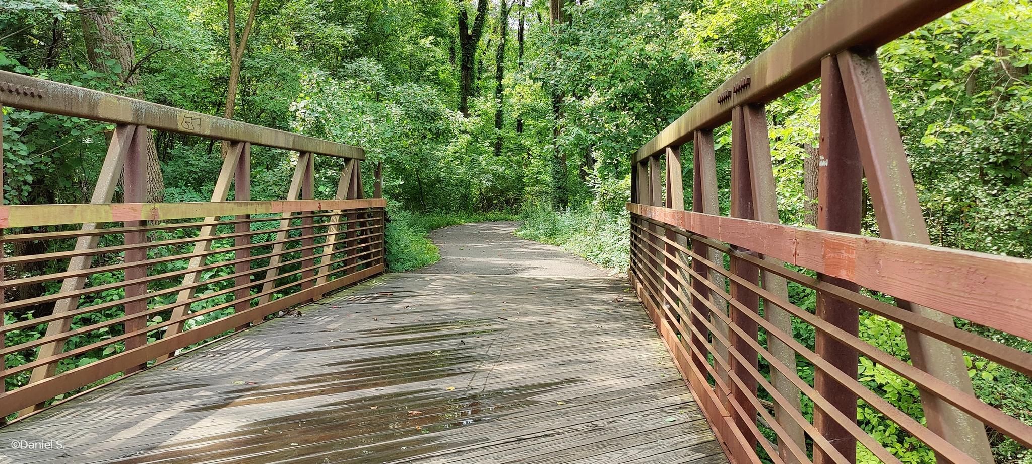 A wooden bridge with metal railings leads into a lush green forest. - Rouge River Gateway Trail