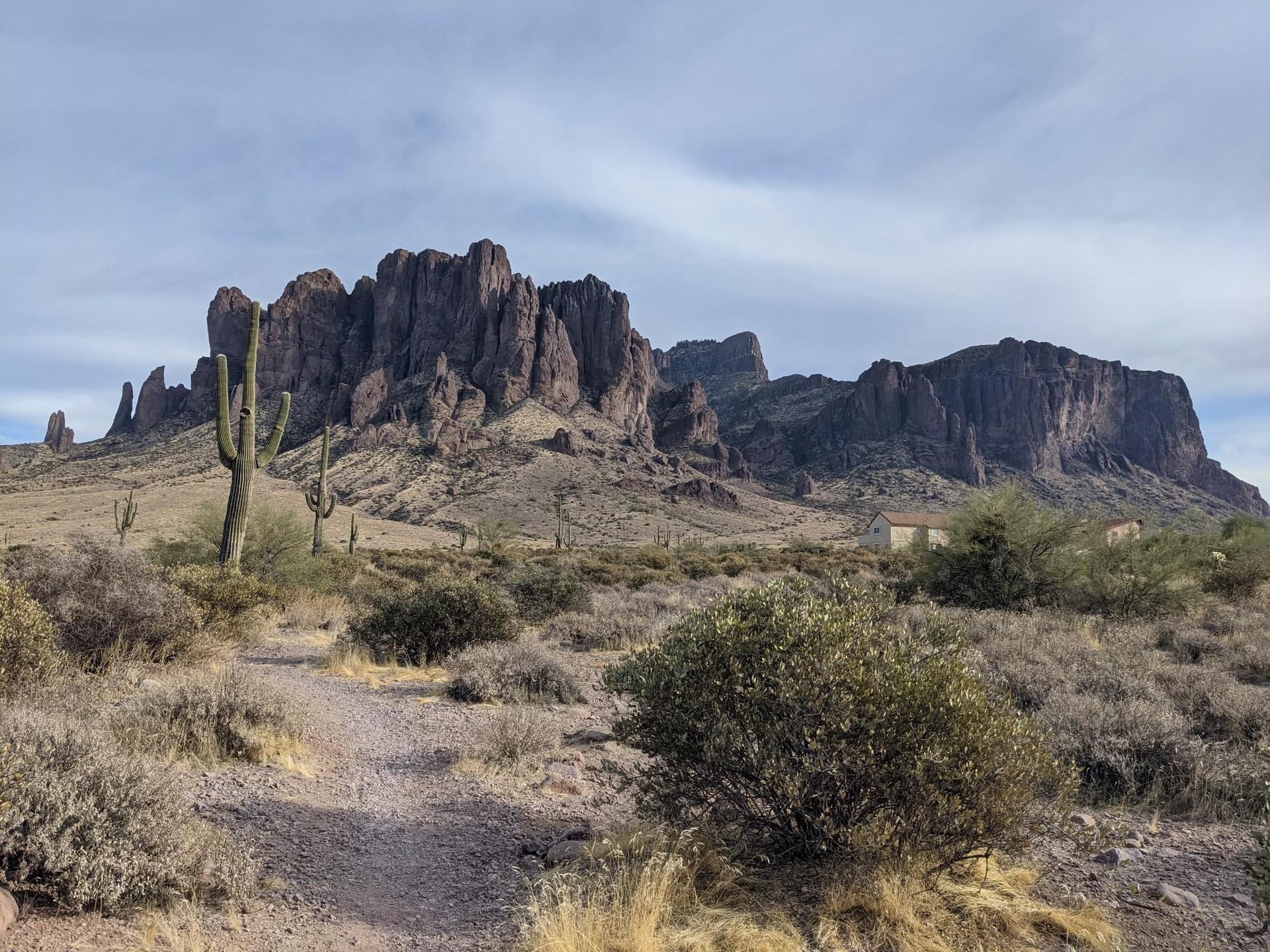 Desert trail leading towards rugged mountains, with saguaro cacti under bright sky.