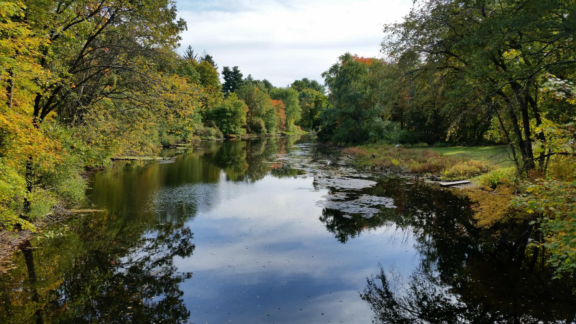 River reflecting cloudy sky, surrounded by trees with autumn foliage.