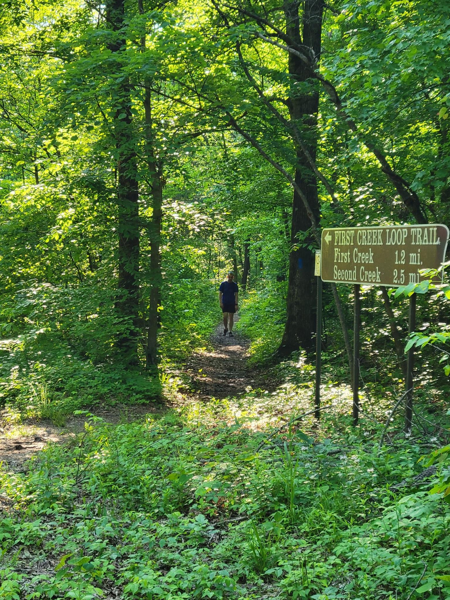 Person walks on a sun-dappled forest path with a trail sign nearby.