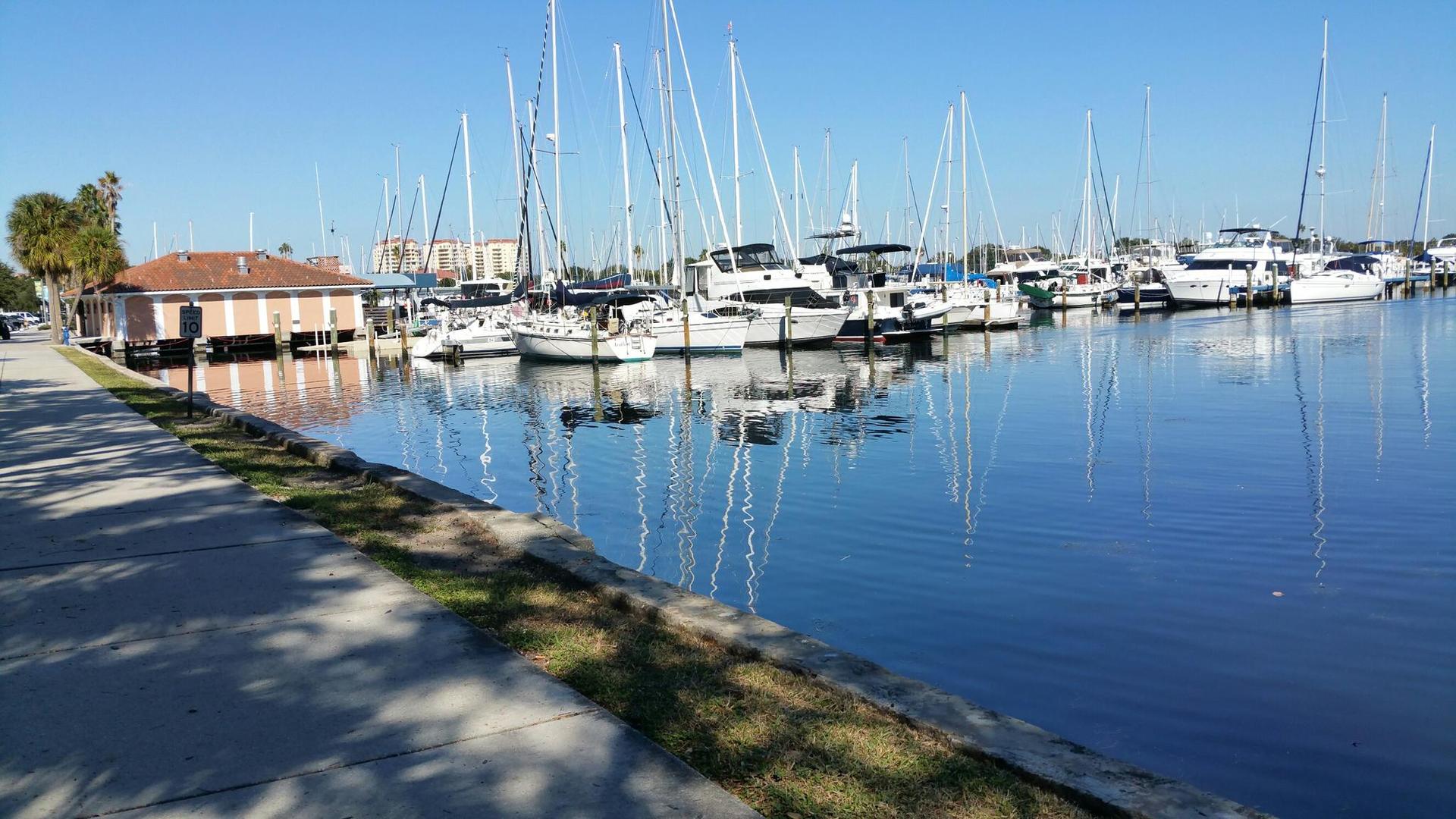 Many sailboats docked in a calm marina under a bright blue sky.