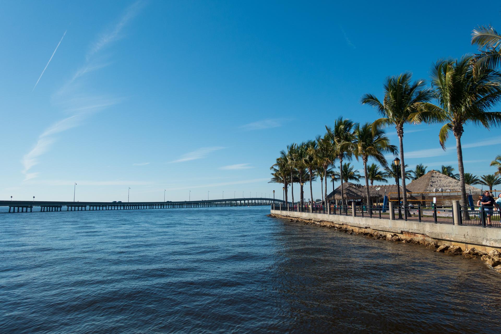 Sunny waterfront with palm trees, a long bridge, and distant buildings under blue sky.