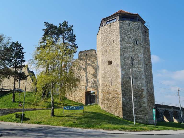 Weg durch die Hainburger Au Tunnelblick auf Hainburg Runde von