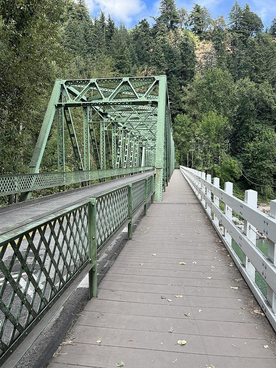 Green metal bridge and wooden path in a lush forest under a bright sky.