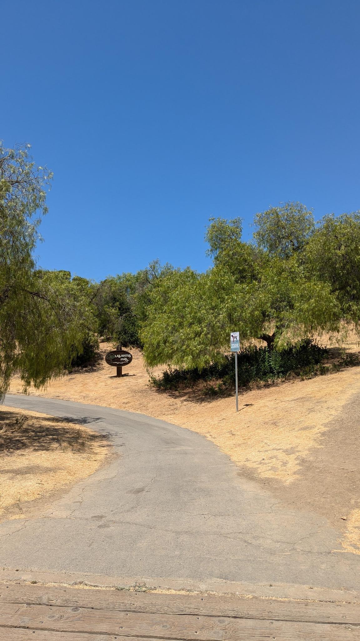 Paved path winding uphill through trees under a bright blue sky.