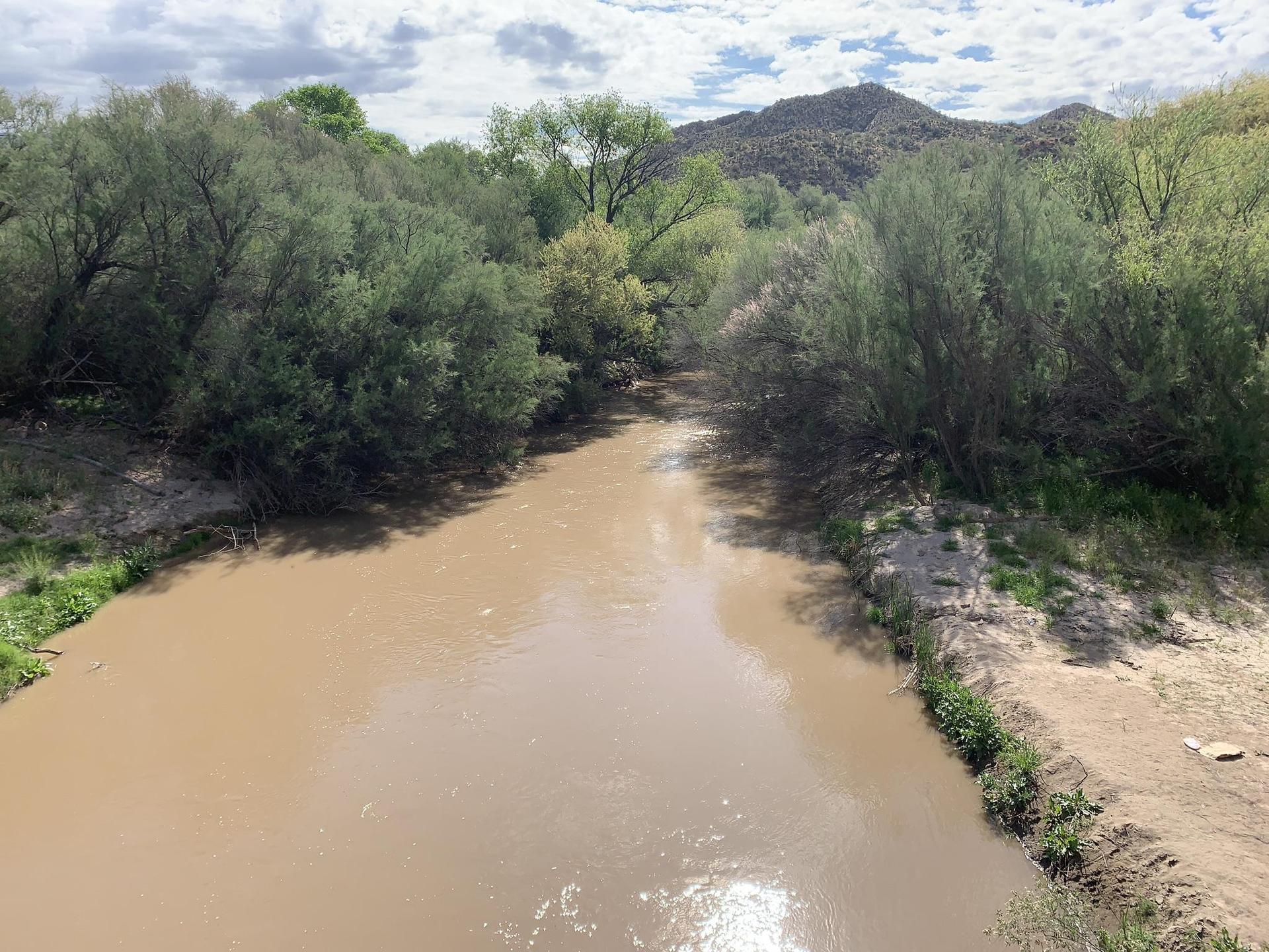 Muddy river flows through dense green trees with distant mountains.