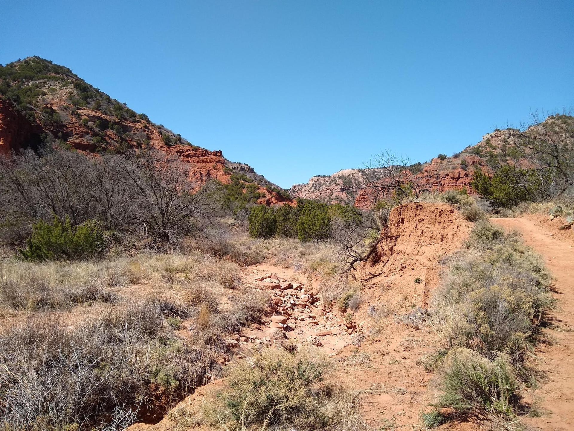 Arid canyon with red rock cliffs, dry creek bed, and sparse vegetation under clear sky.