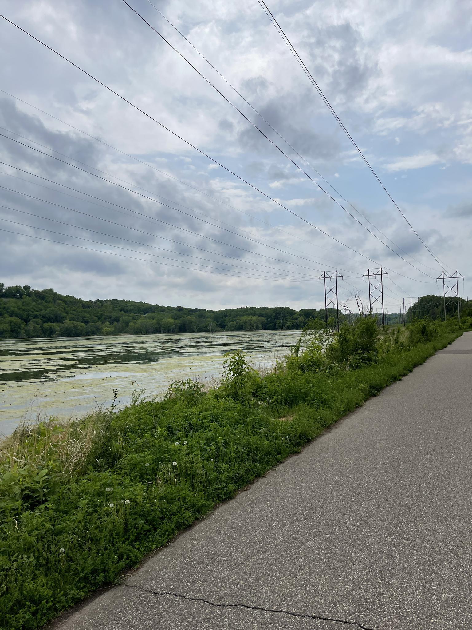 Paved path beside a lake covered in green algae under a cloudy sky.