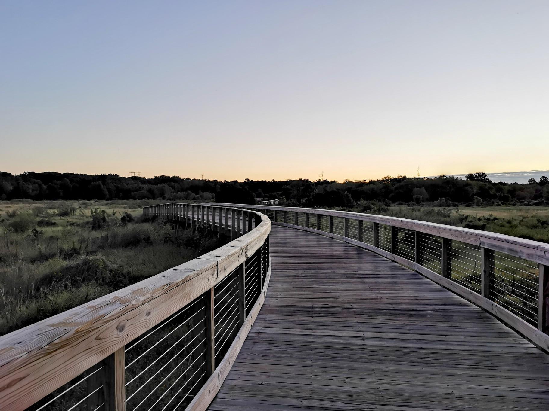 Wooden boardwalk curves through a grassy marshland under a soft twilight sky.