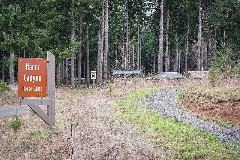 Sign for a horse camp, gravel path, and tall evergreen forest under overcast sky.