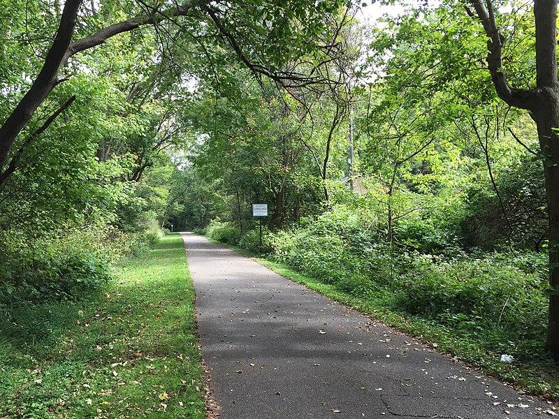 A paved path winds through a dense green forest on an overcast day.