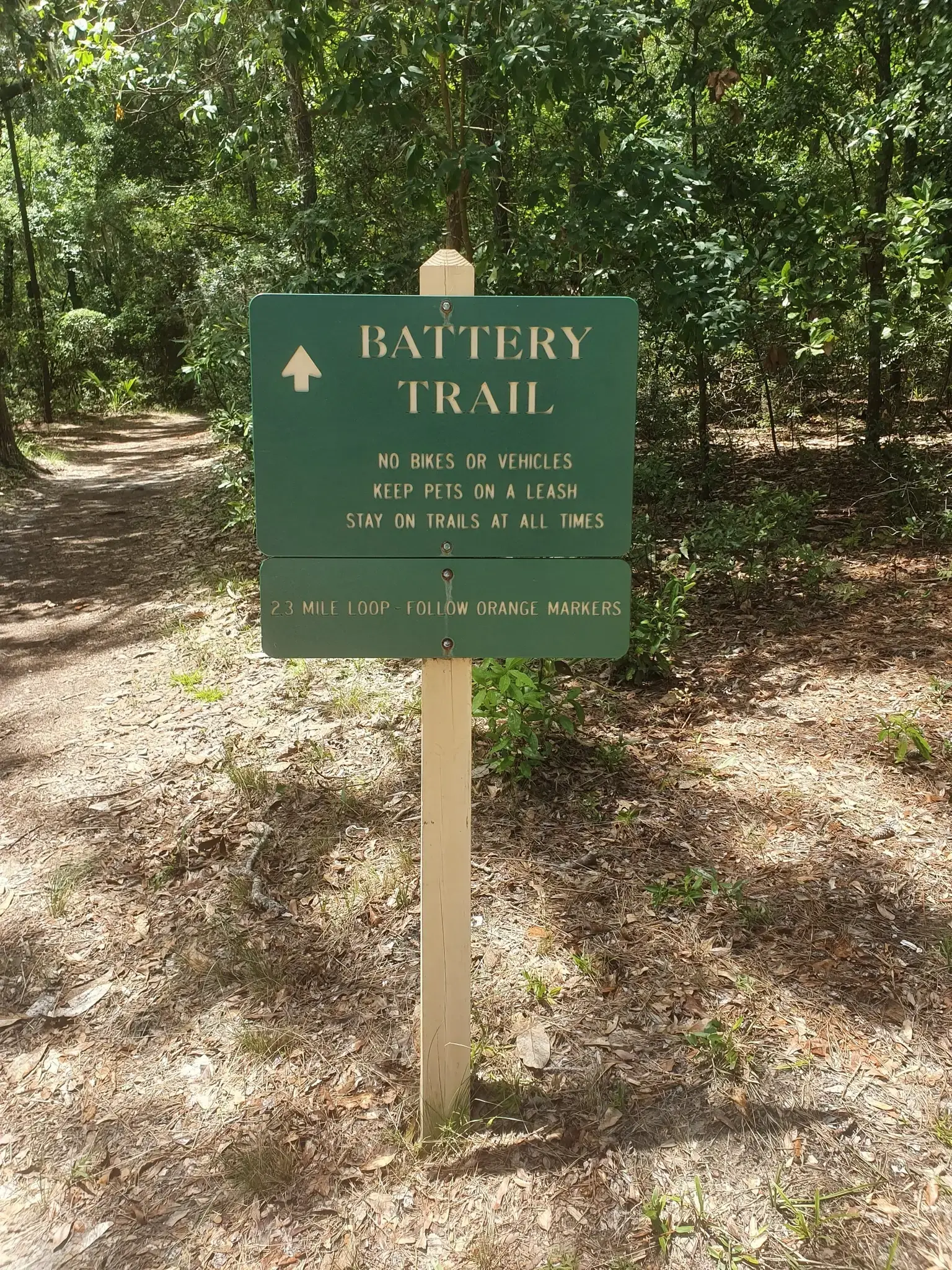 Green trail sign on a dirt path in a sun-dappled forest.