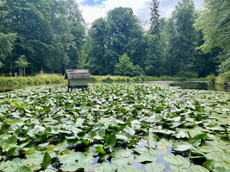 Englischer Teich Wanderungen und Rundwege komoot