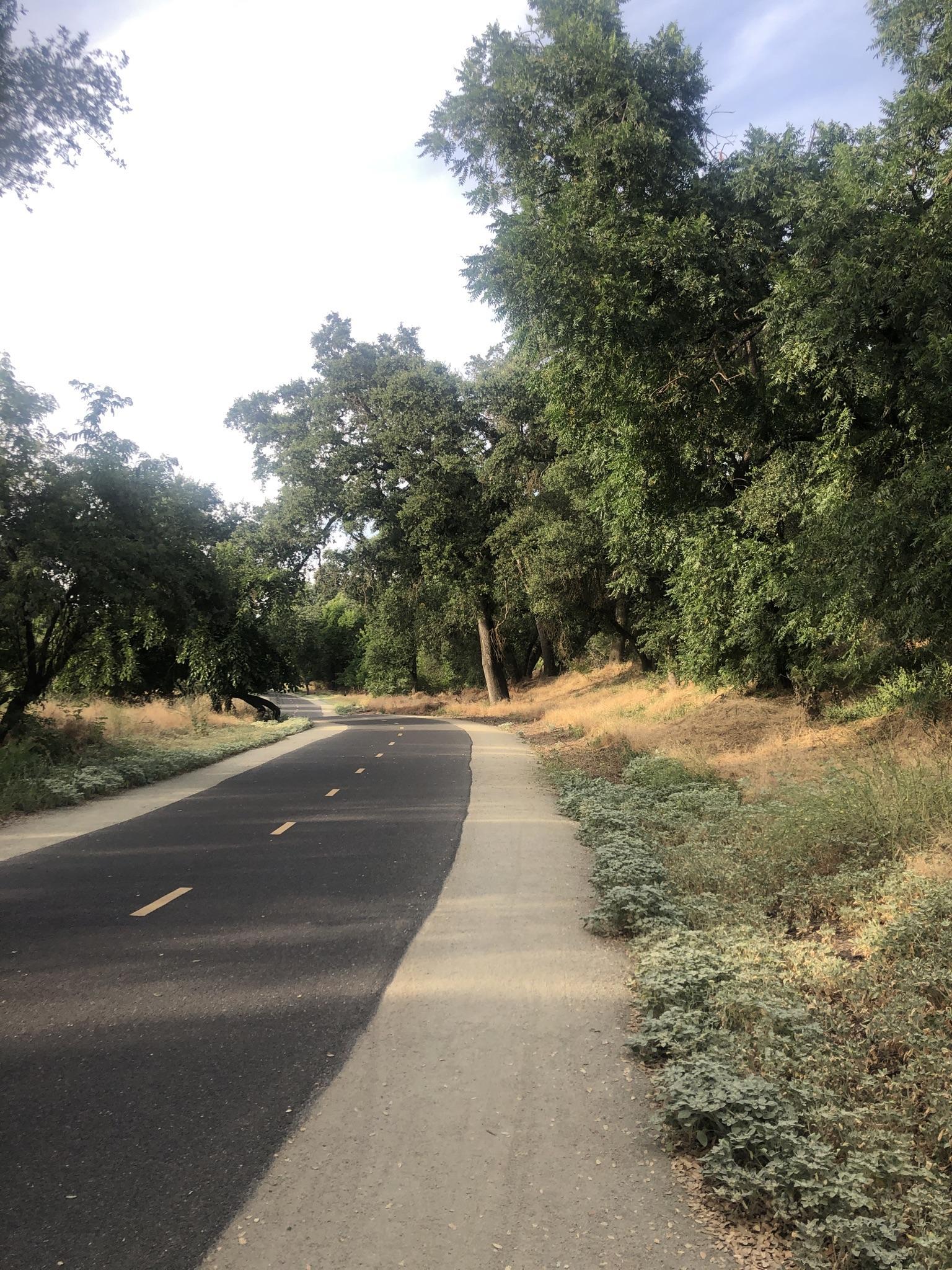 Paved path and sidewalk winding through a tree-lined landscape on a sunny day.
