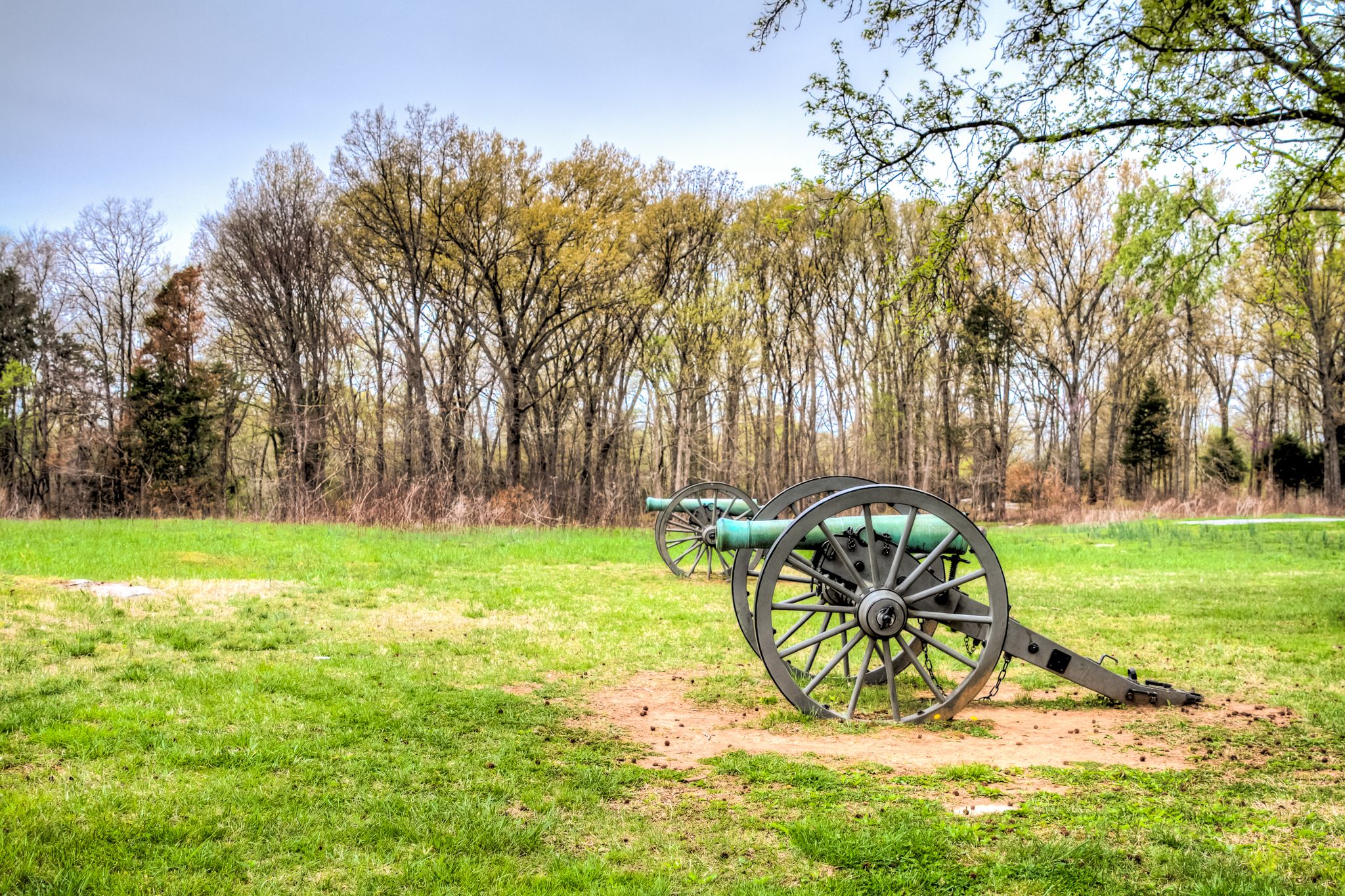 Two antique cannons in a grassy field with a line of trees. - Murfreesboro Greenway – Stones River Battlefield loop from Scales Elementary School