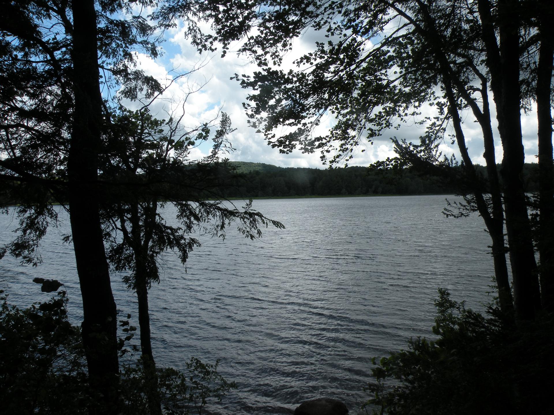 A dark lake seen through silhouetted trees under a cloudy sky.