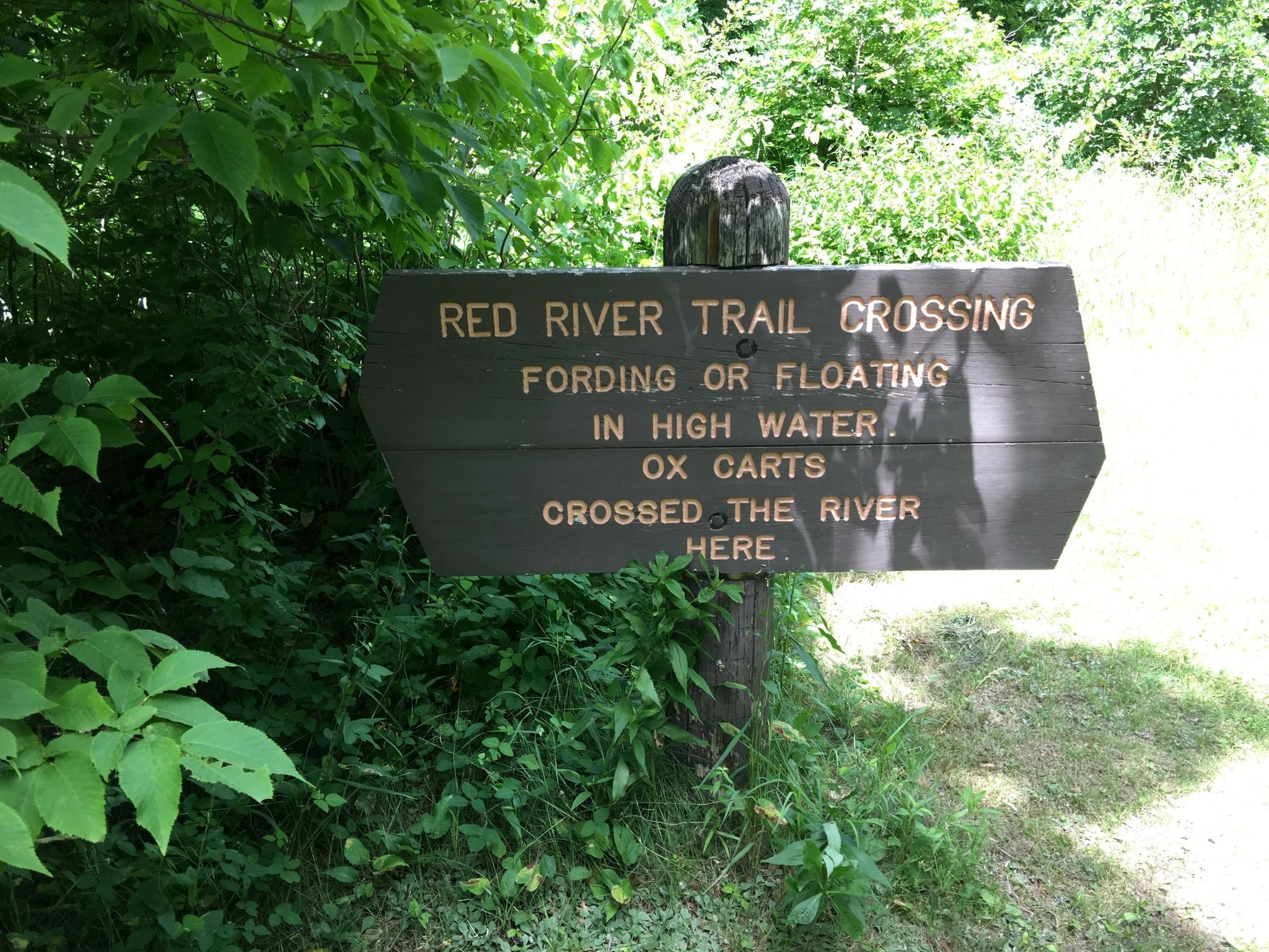 A weathered wooden sign with text stands amidst green foliage in dappled sunlight. - Crow Wing Confluence Trail