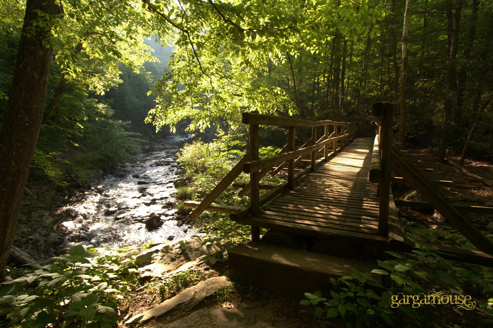 Wooden bridge over a sunlit stream in a lush green forest.