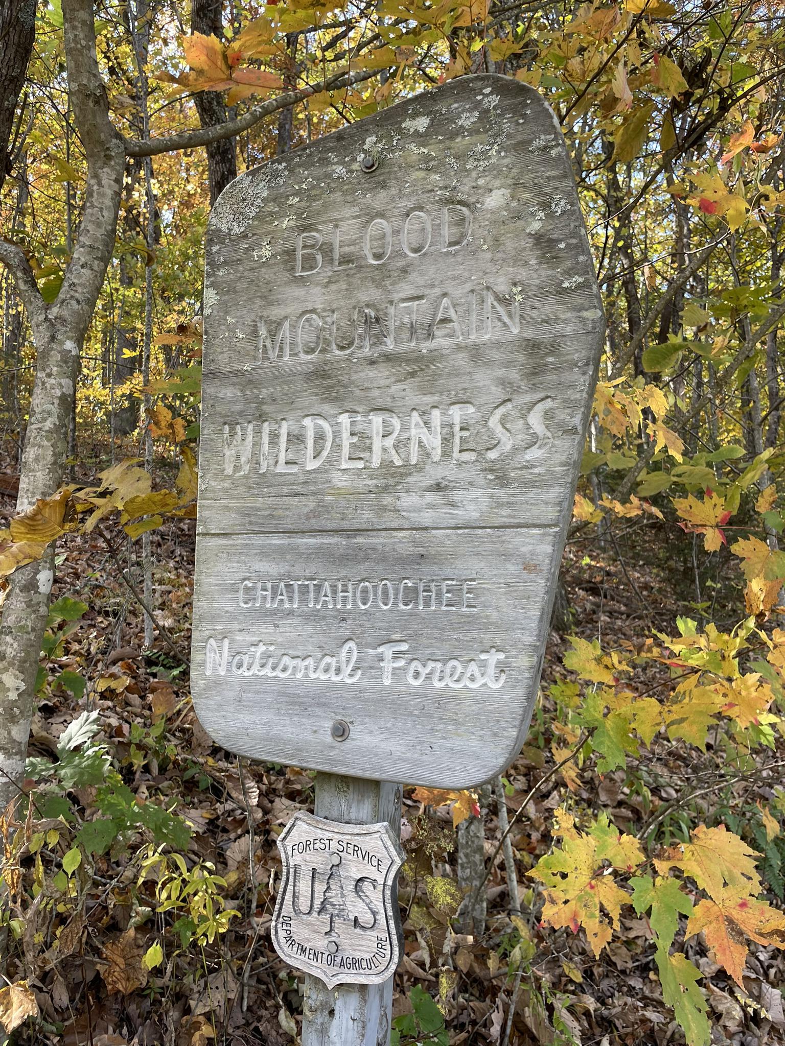 Weathered wooden sign in an autumn forest, with yellow and orange leaves.
