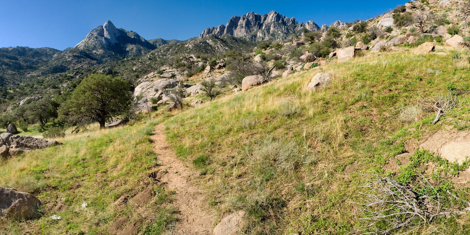 Sunny mountain trail winding up a grassy, rocky hillside towards peaks.