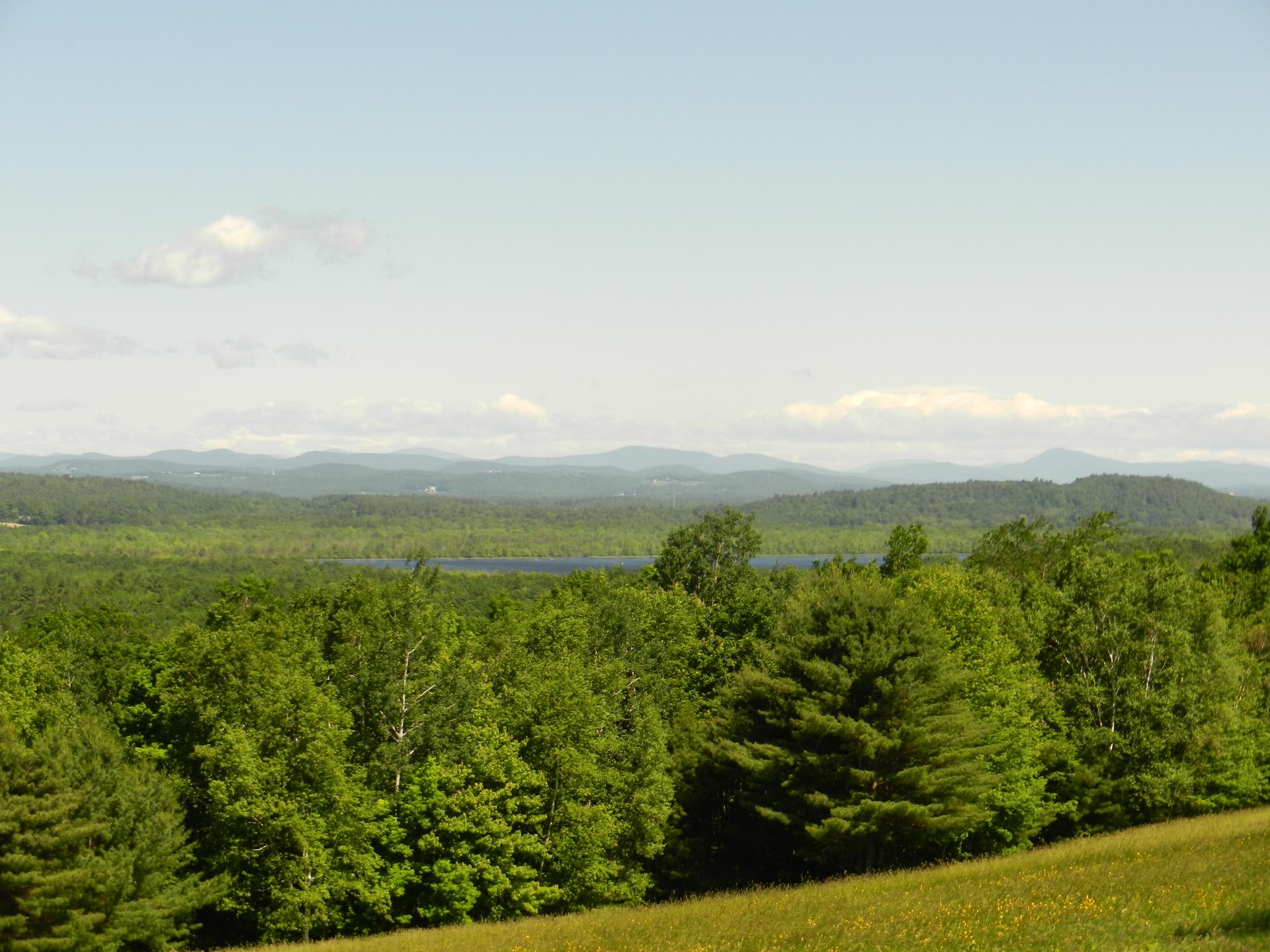 Expansive green forest, distant lake, and rolling hills under a bright sky.