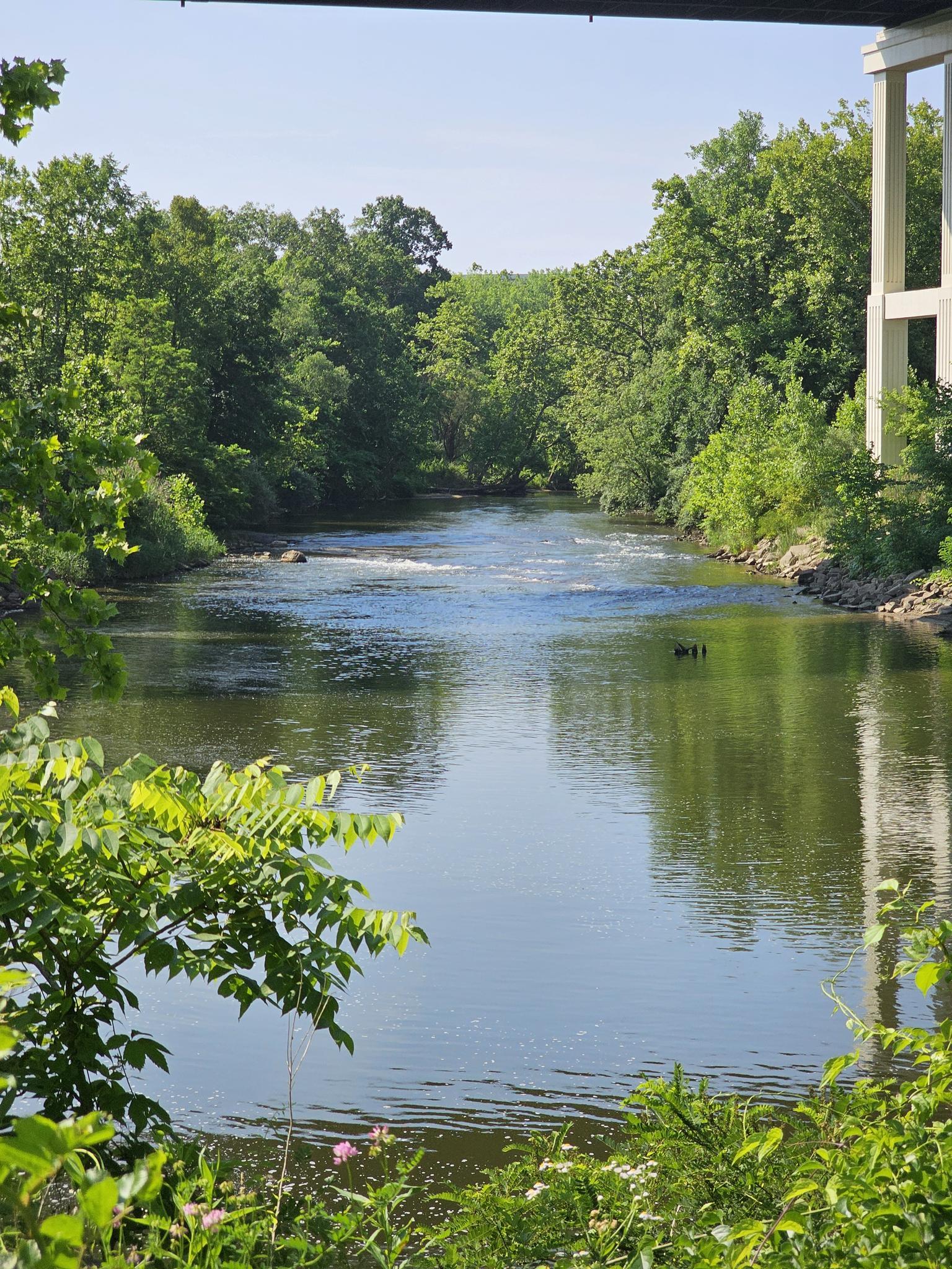 A calm river flows under a bridge, surrounded by dense green trees.