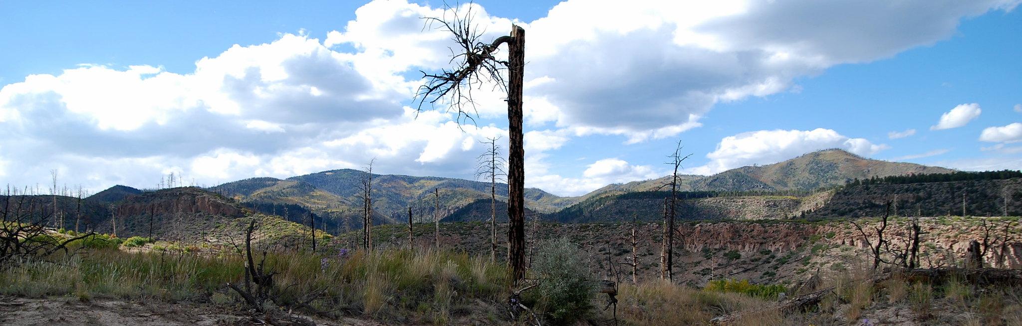 Panoramic view of a valley with a dead tree, mountains, and cloudy sky.