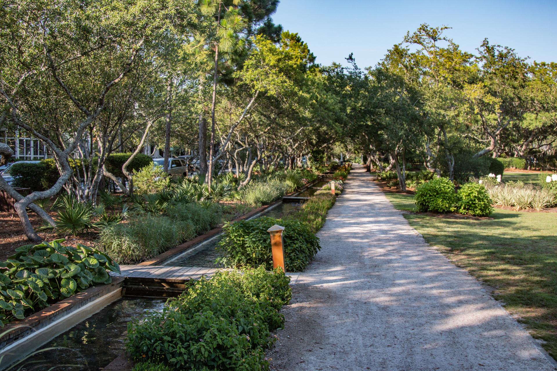 Paved path through a lush garden with trees and shrubs under bright daylight.