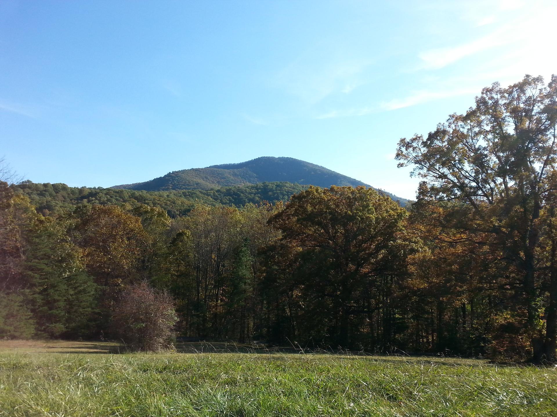 Grassy field, autumn trees, and a large mountain under a clear blue sky.