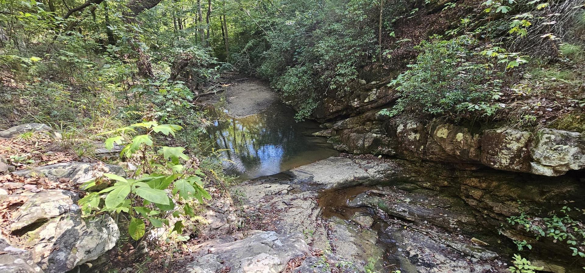 A calm, dark pool in a rocky stream surrounded by dense forest.