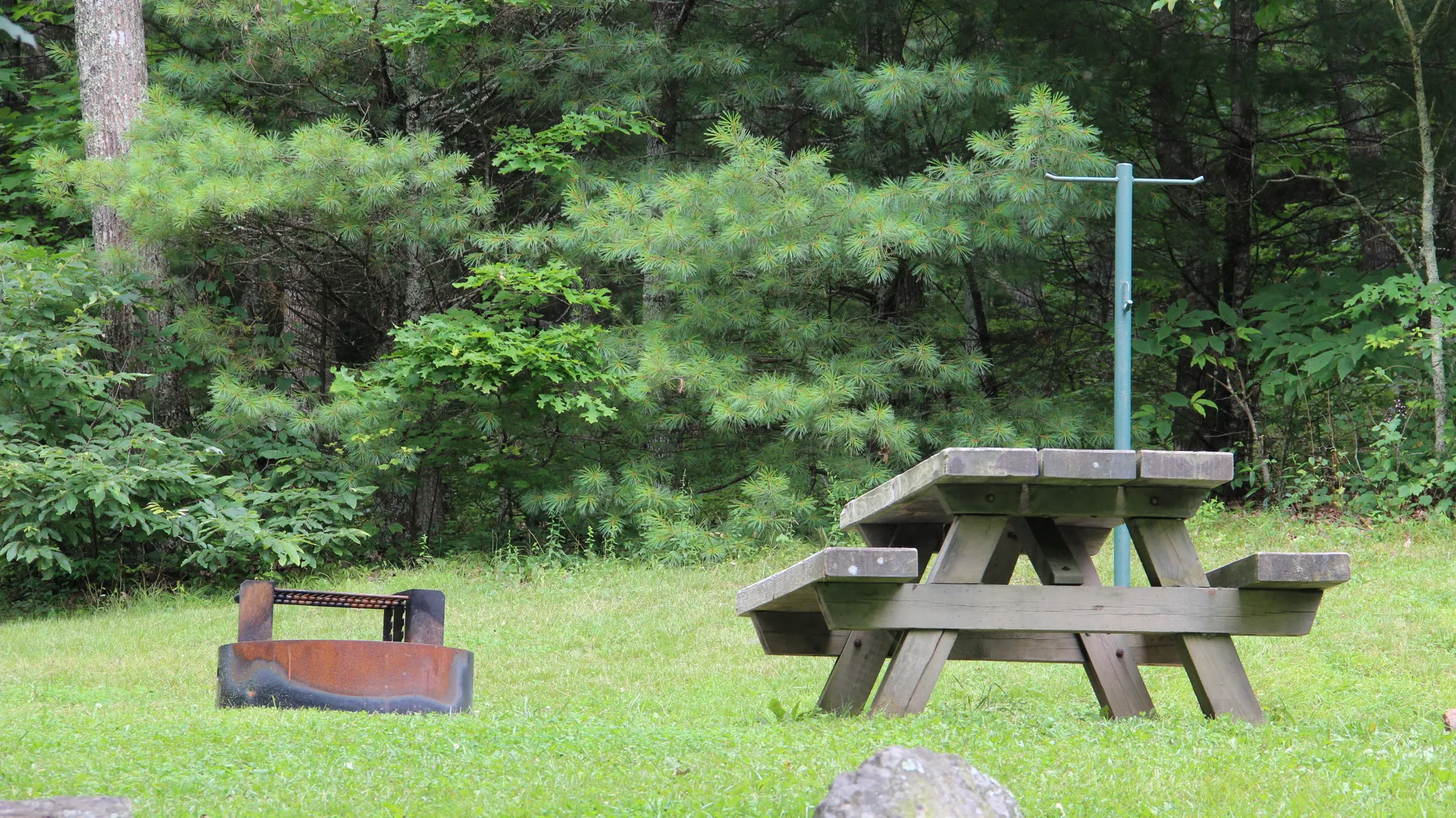 A wooden picnic table and grill in a grassy area with dense forest. - Dry Run Wilderness loop