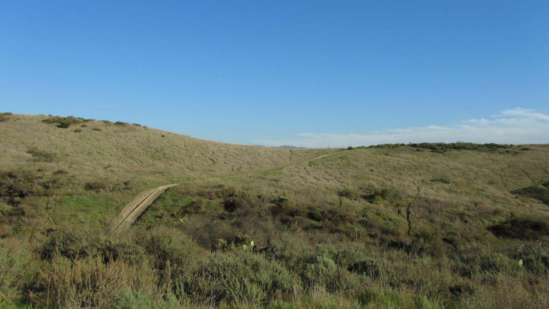 Grassy hills with a winding dirt path under a clear blue sky.