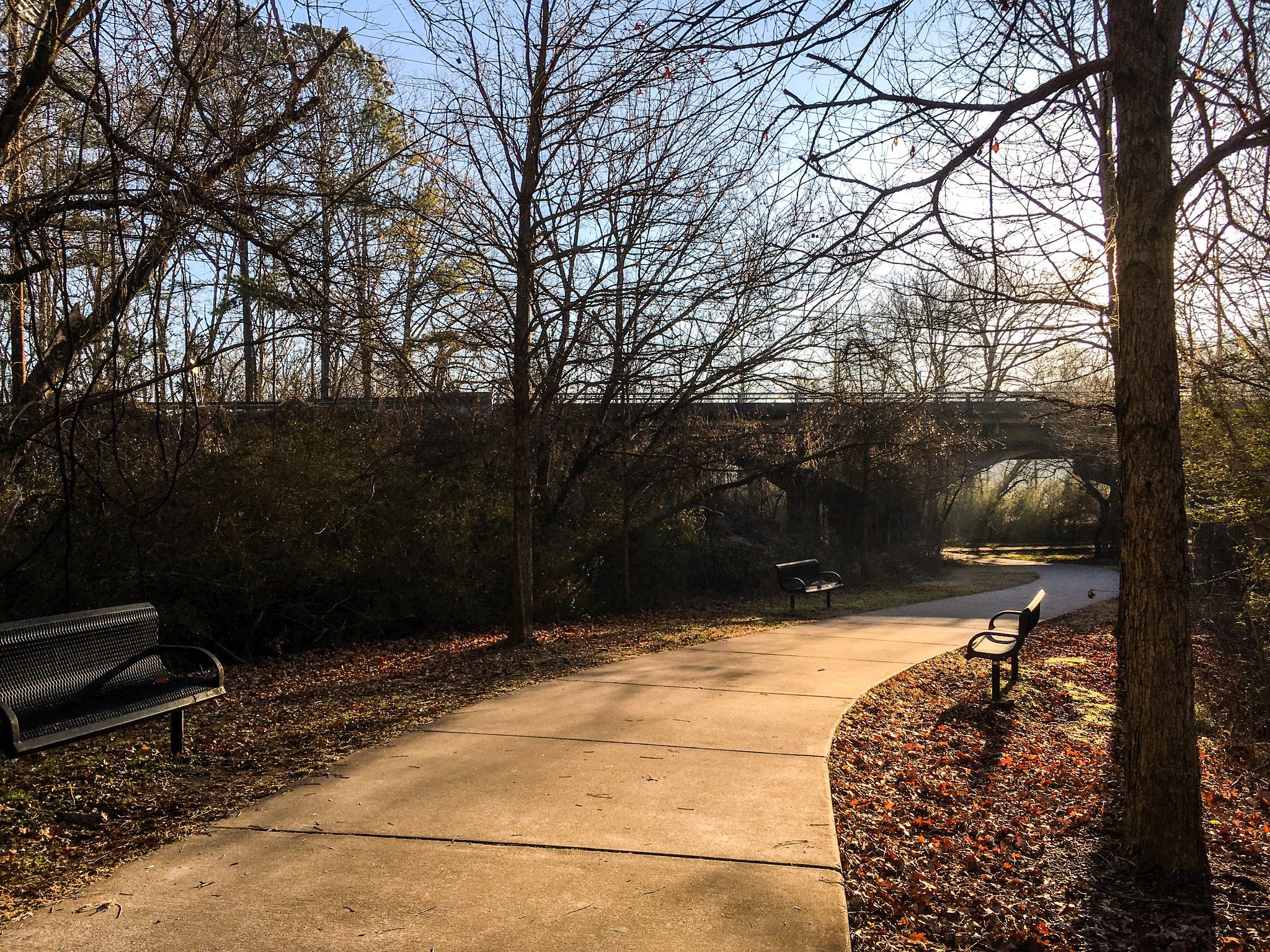 Sunny paved path with benches, leading under a stone bridge through bare trees. - Frog Pond – The Roswell Riverwalk loop from Riverside Park Additional Parking