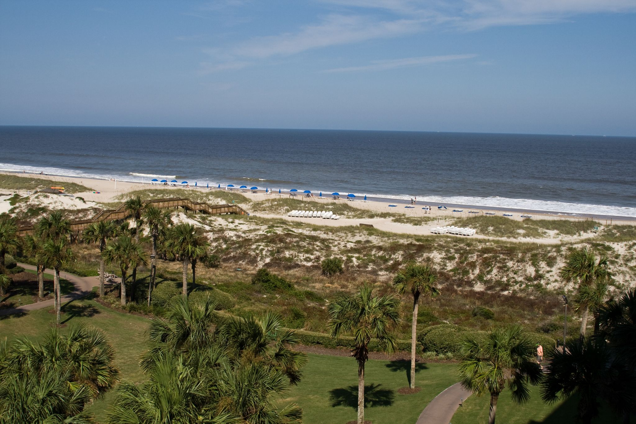 Aerial view of a wide beach, ocean, and green landscape with palm trees. - Amelia Island State Park – Pond along the Amelia Island Trail loop from Amelia Island Light