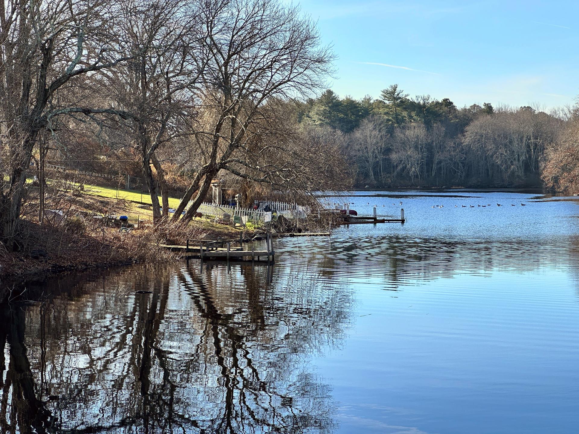 Calm lake reflecting bare trees and docks under a clear sky.